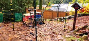 Electric fence 3 20241031 112355
