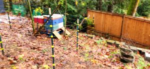 Electric fence 2 20241031 112443