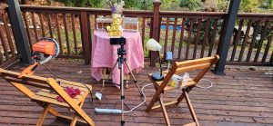 Bringing Our Honey to Life: Product Photoshoot Day! 4 20241103 155856