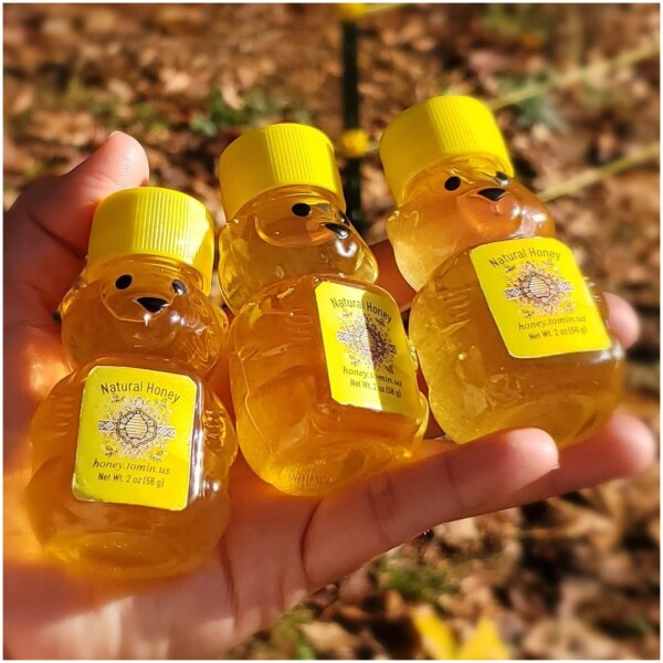 2 oz Mini Bear - Pure Raw Honey (pack of 1, 3, 5 or 10) - Image 5