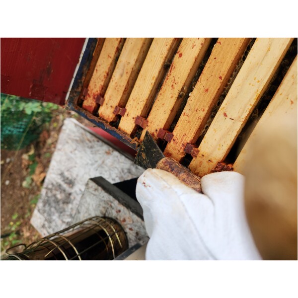 Propolis, 10g. Natural Raw Bee product - Image 6