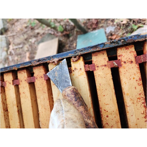 Propolis, 10g. Natural Raw Bee product - Image 5