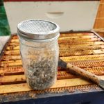 Collected Bees for mite control